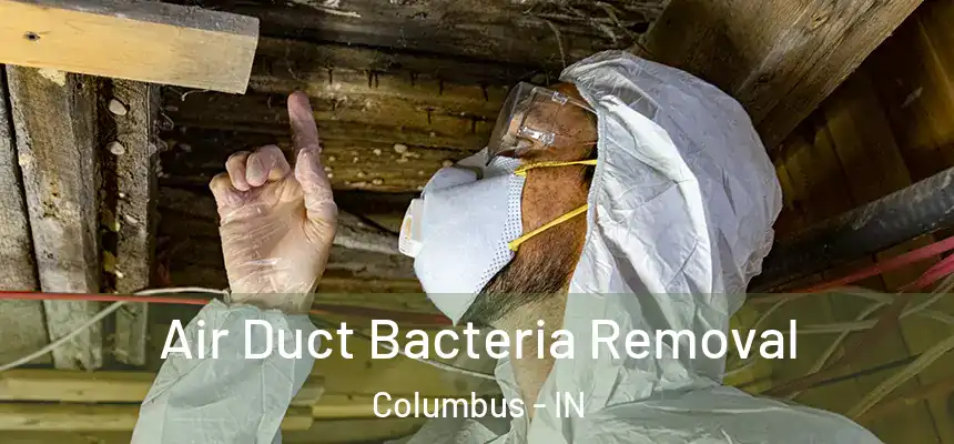 Air Duct Bacteria Removal Columbus - IN