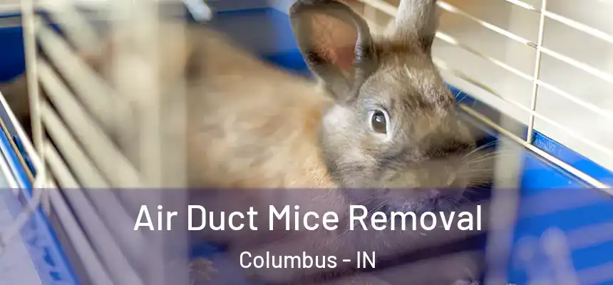 Air Duct Mice Removal Columbus - IN