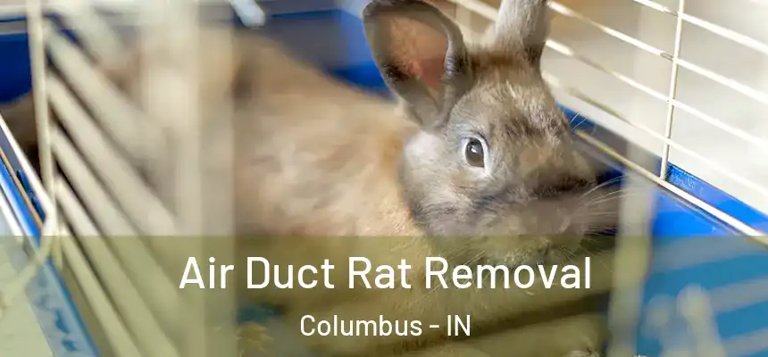 Air Duct Rat Removal Columbus - IN