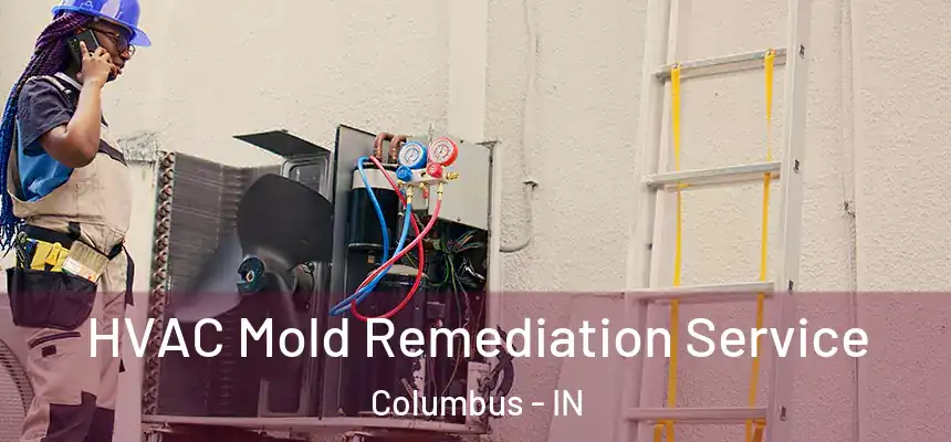  HVAC Mold Remediation Service Columbus - IN