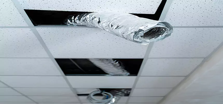 Our Air Duct Pet Hair Removal Services in Columbus, IN