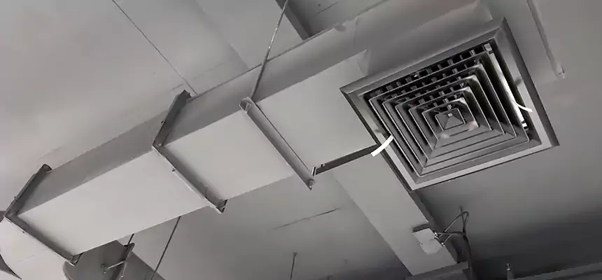 Restorative Allergy Relief Vent Cleaning – Coil, Blower & Housing Detail in Columbus