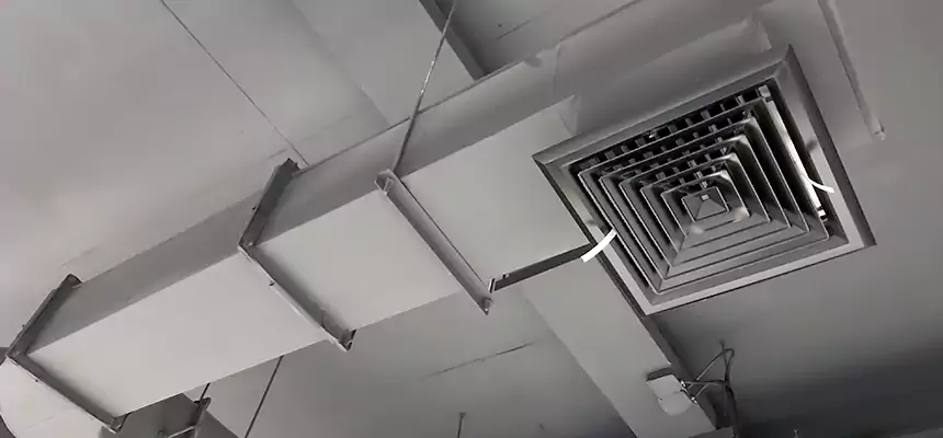 Our Pest Removal From Ducts Services in Columbus, IN