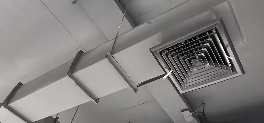 Our Rodent Droppings In Vents Services in Columbus, IN