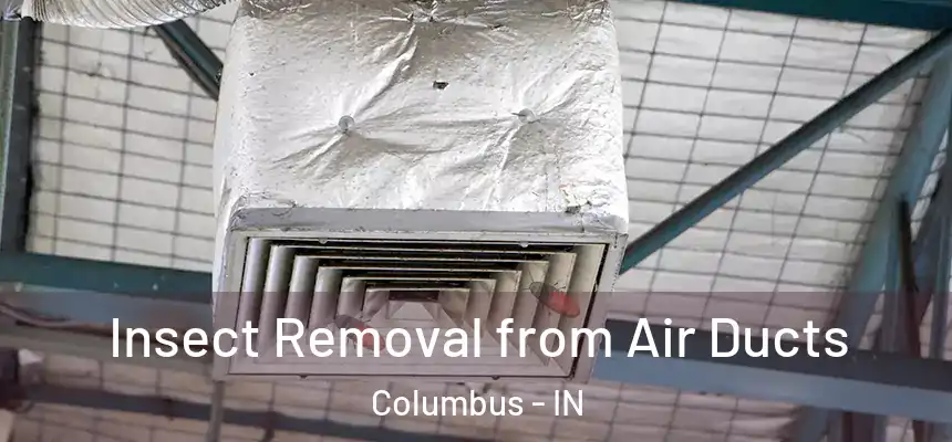 Insect Removal from Air Ducts Columbus - IN
