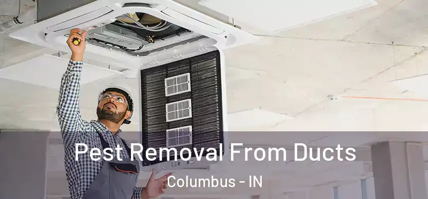 Pest Removal From Ducts Columbus - IN