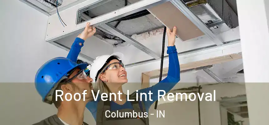 Roof Vent Lint Removal Columbus - IN