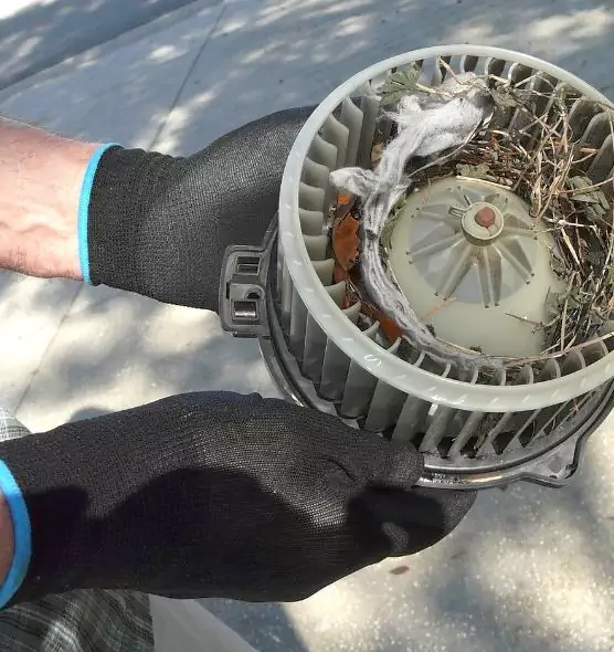 About Air Duct Rat Removal in Columbus, IN