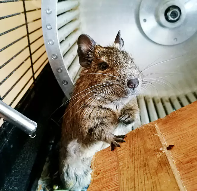 Why Homeowners & Businesses Trust Us Columbus, IN?