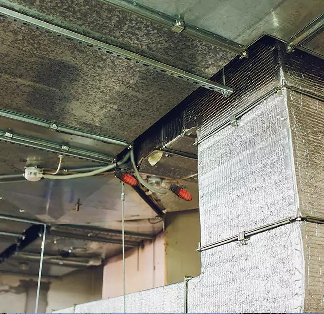 Why Homeowners & Businesses Trust Us Columbus, IN?